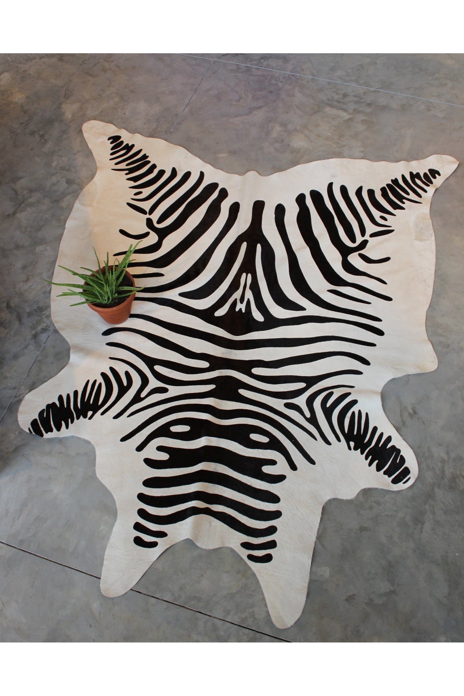 ZEBRA COWHIDE RUG Gypsy Jule