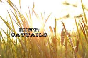 The hint is Cattails
