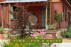 Little Boho Valley Studio