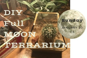 DIY Full Moon Terrarium - Little Boho Valley