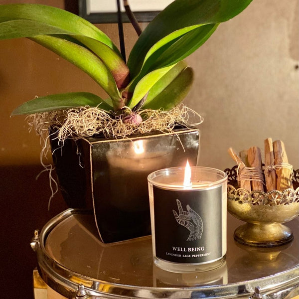 Well Being and Wellness Products