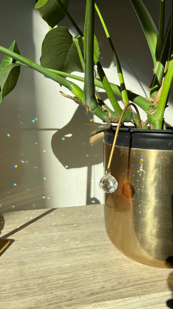 Ombra & Luce - Arched Plant Stake Suncatcher, Indoor Plant Pot Decoration