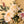 F&F Chinese Byobu Peonies and Pheasants Paint on Silk
