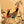 F&F Chinese Byobu Peonies and Pheasants Paint on Silk