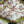 Burton and Burton Decorative Dish