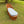 vintage chaise lounge