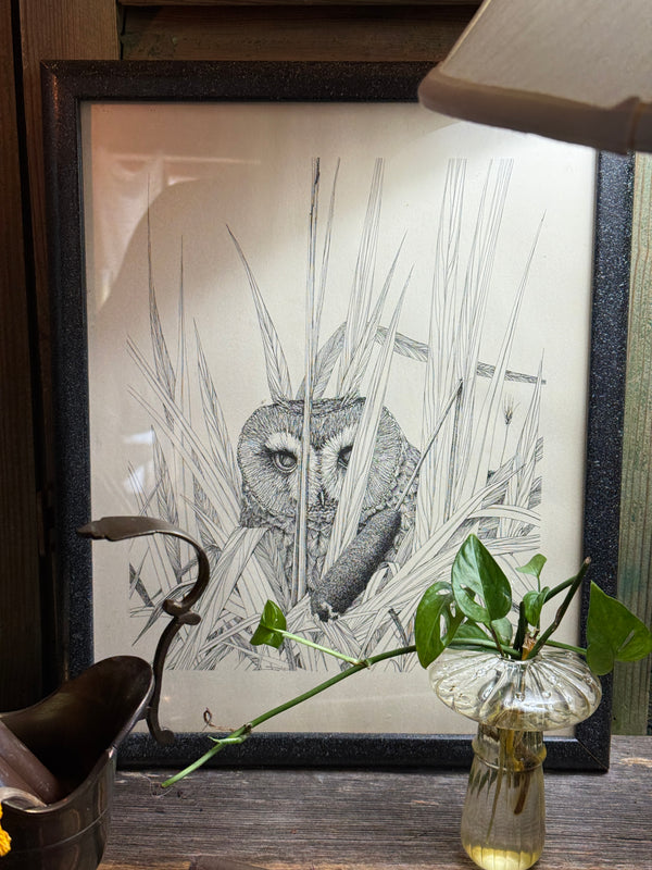 Framed Vintage MCM Owl Print