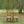 Vintage ladderback chairs