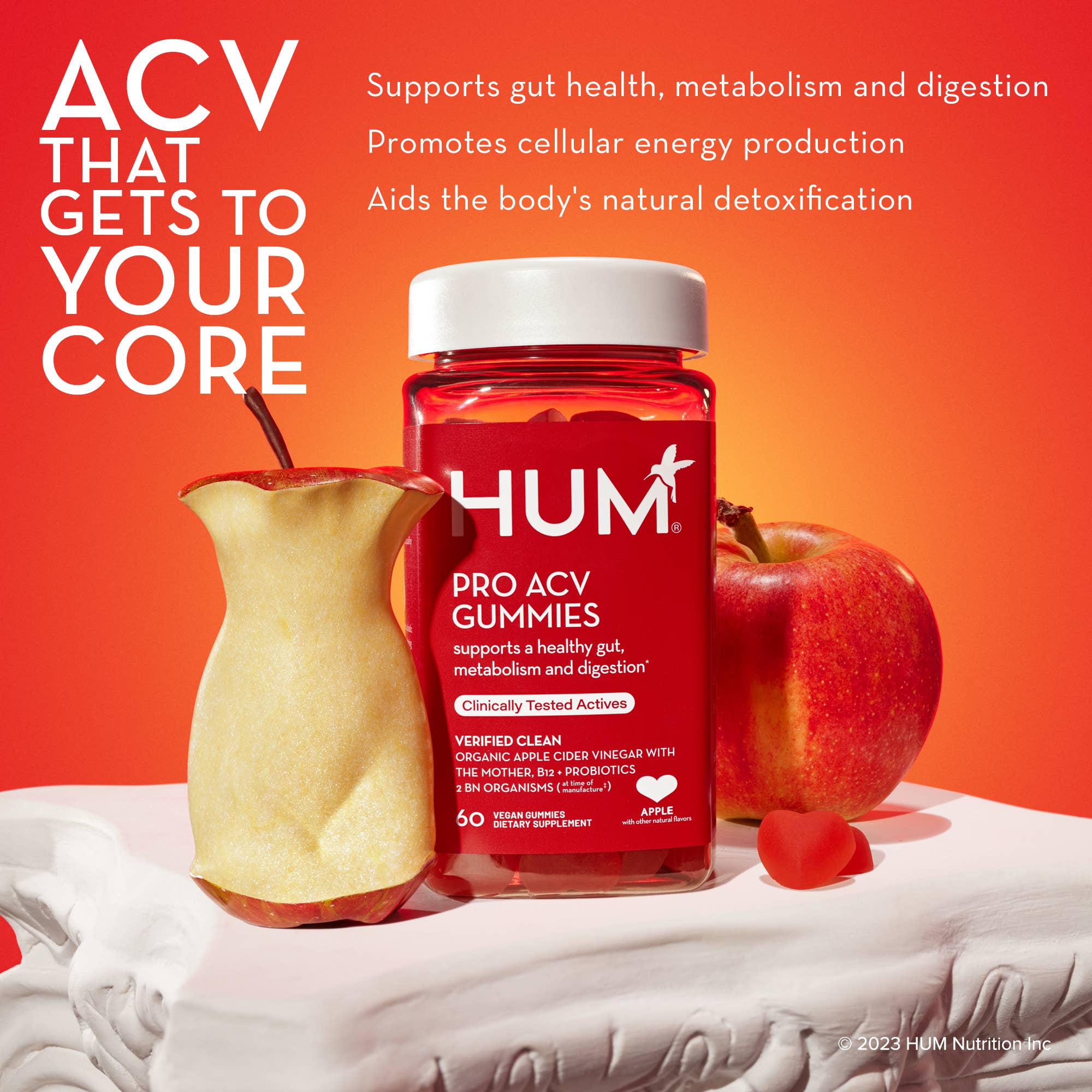 Hum Nutrition - PRO ACV GUMMIES FOR DIGESTIVE HEALTH & SUPPORTS METABOLISM - Little Boho Valley