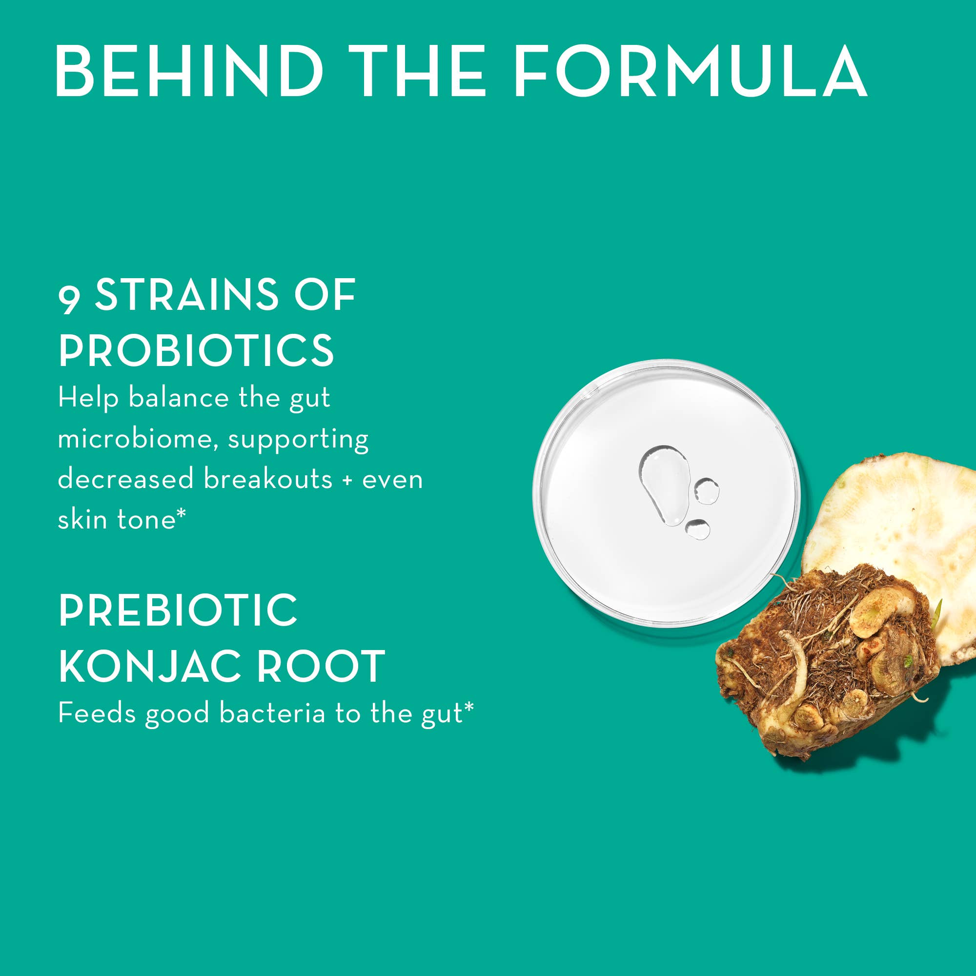 Hum Nutrition - SKIN SQUAD PRE+PROBIOTIC CAPSULES FOR SKIN & GUT HEALTH - Little Boho Valley