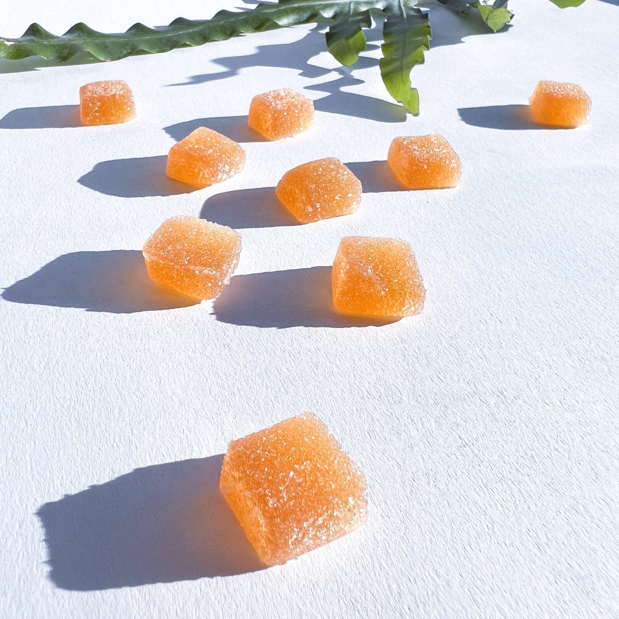 Microjoy - Concentrate Mushroom Gummies - Little Boho Valley