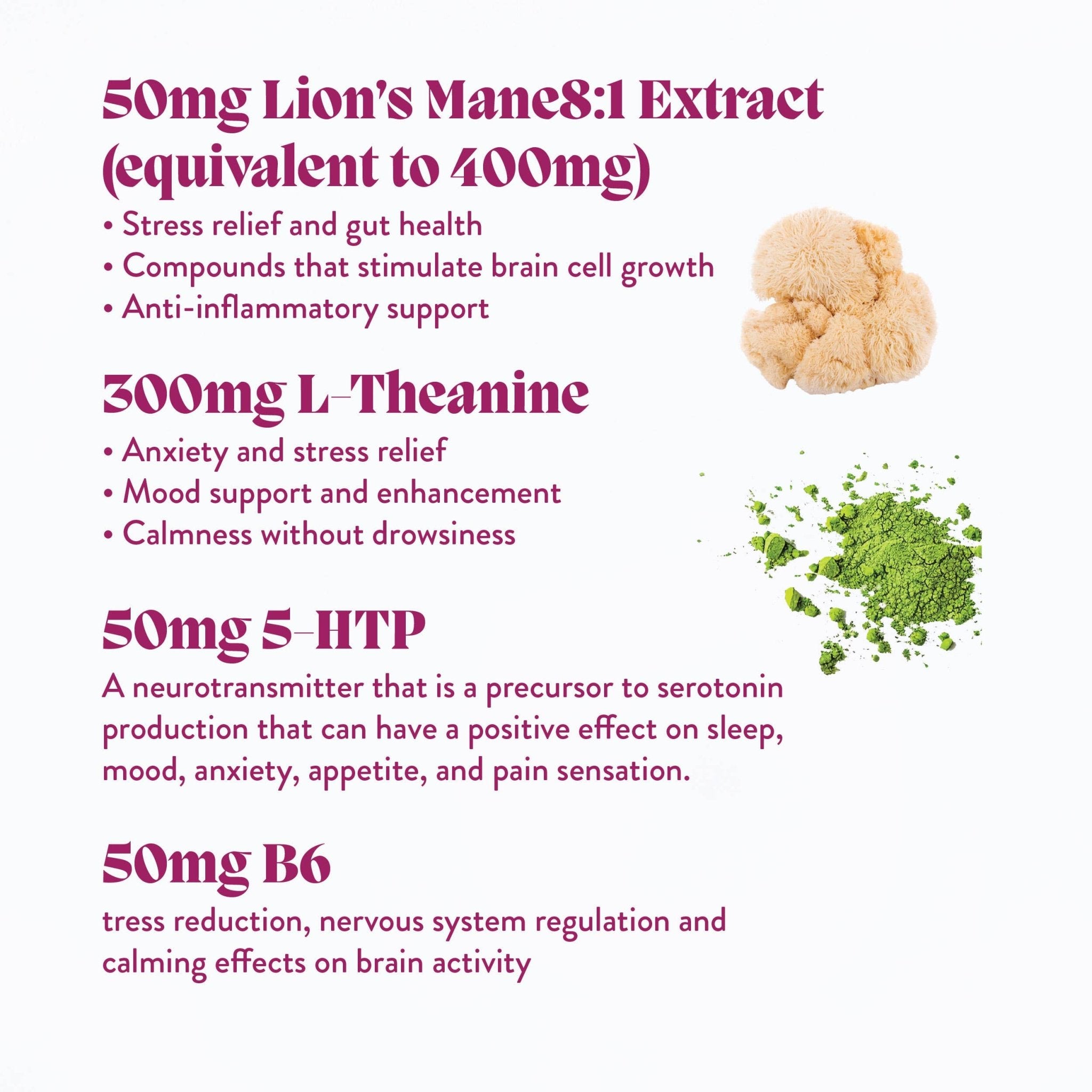 Microjoy - Elevate Mushroom Gummies (5) / Vegan Supplement / Mood - Little Boho Valley