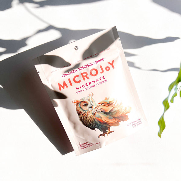 Microjoy - Hibernate Mushroom Gummies / 30 Piece - Little Boho Valley