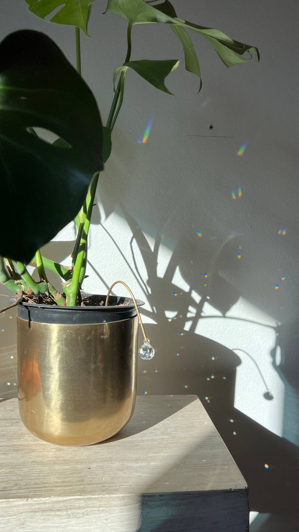 Ombra & Luce - Arched Plant Stake Suncatcher, Indoor Plant Pot Decoration - Little Boho Valley