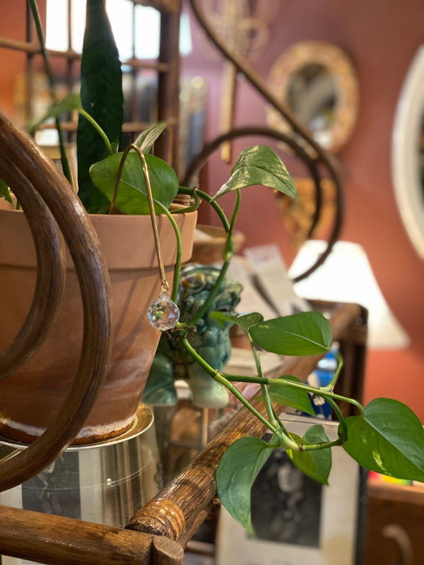 Ombra & Luce - Arched Plant Stake Suncatcher, Indoor Plant Pot Decoration - Little Boho Valley