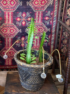 Ombra & Luce - Arched Plant Stake Suncatcher, Indoor Plant Pot Decoration - Little Boho Valley
