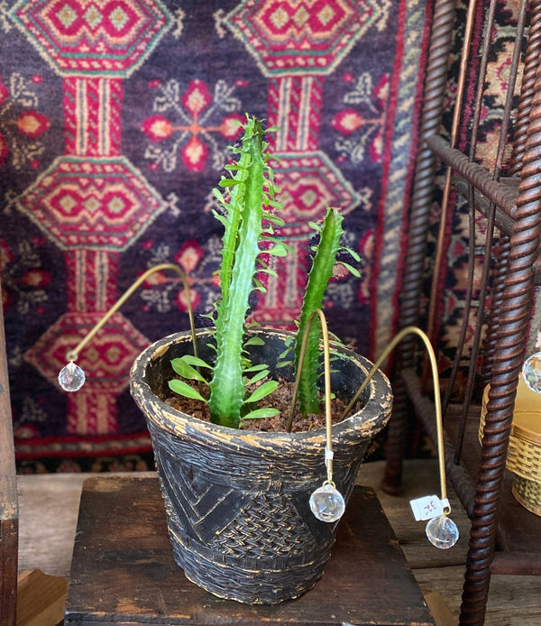 Ombra & Luce - Arched Plant Stake Suncatcher, Indoor Plant Pot Decoration - Little Boho Valley