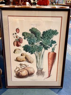 Vintage album vilmorin vegetable framed print 2 - Little Boho Valley