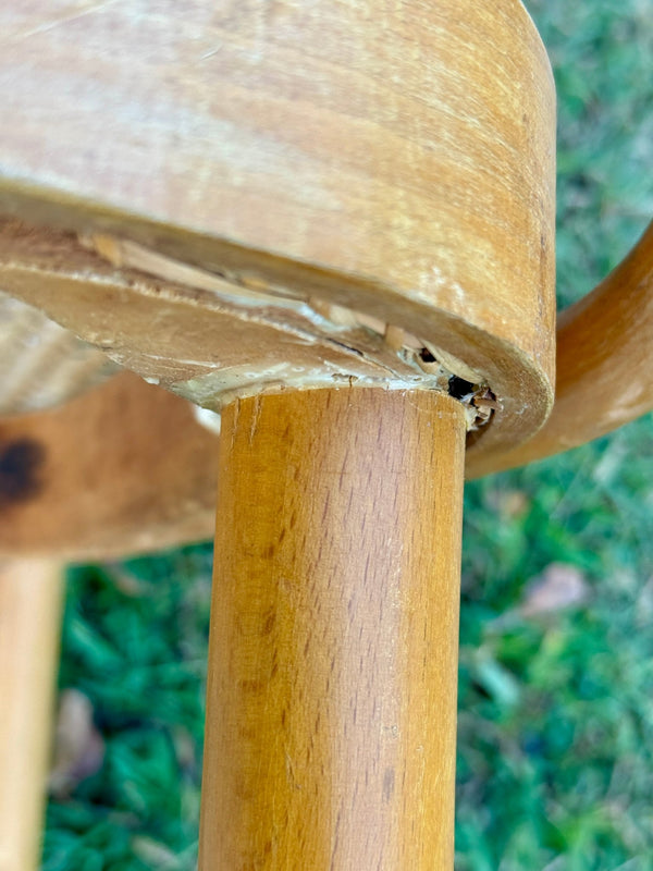 Vintage Mid-Century Caned Chair - Little Boho Valley