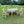 Vintage Mid - Century Henredon Table and Chairs - Little Boho Valley