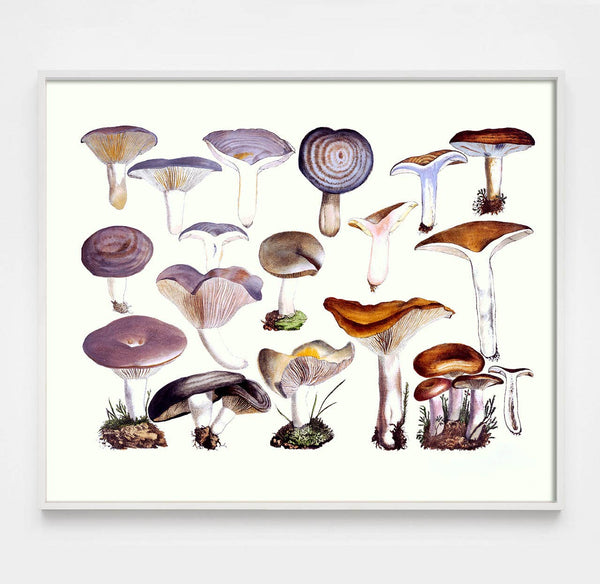 Capricorn Press - Vintage Mushrooms in Purple: 8 x 10