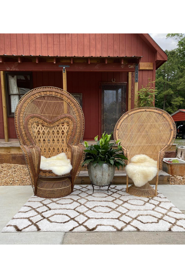 Peacock Chair Rentals