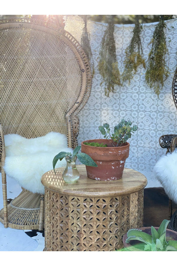Boho Peacock Chair Rental