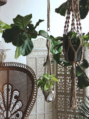Soul of the Party - Macrame Plant Hanger Soul of the Party