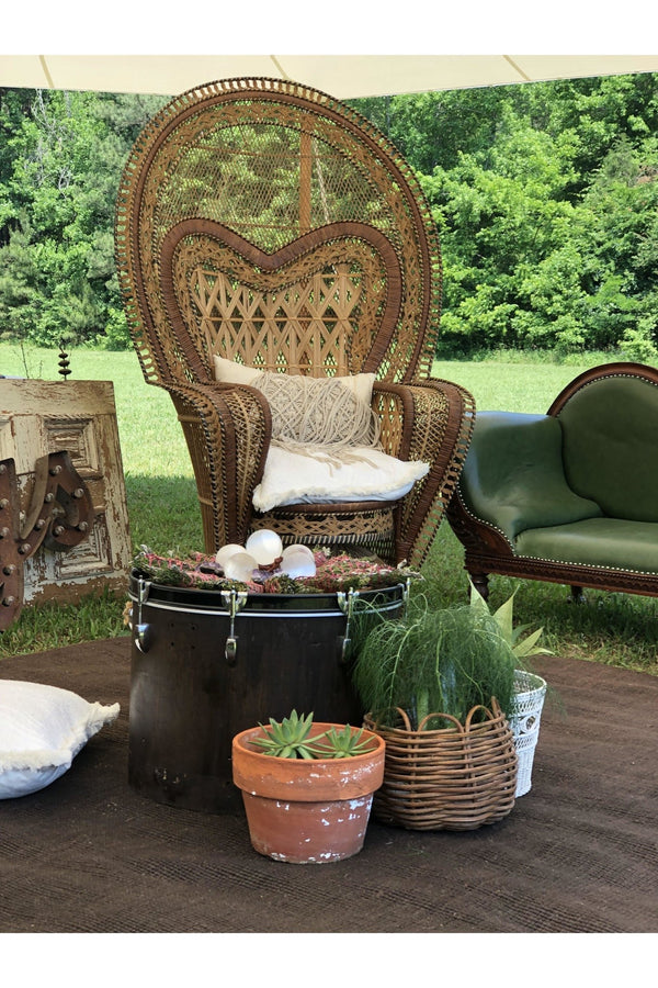 Big Kahuna Peacock Chair - Event Rental - Little Boho Valley