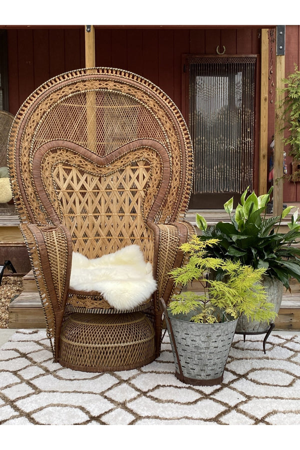 Big Kahuna Peacock Chair - Event Rental - Little Boho Valley