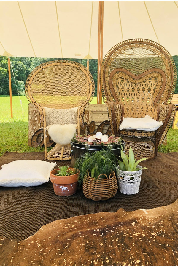 Big Kahuna Peacock Chair - Event Rental - Little Boho Valley