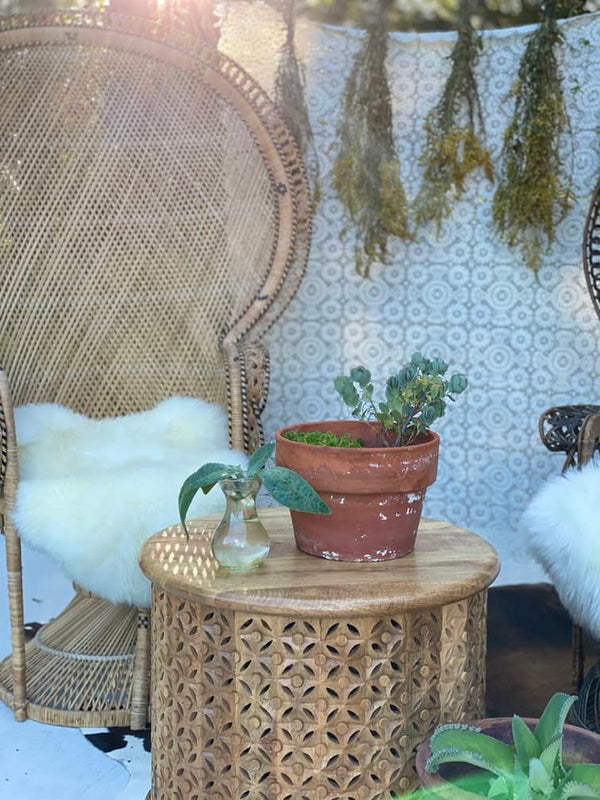 Natural Peacock Chair -  Rental
