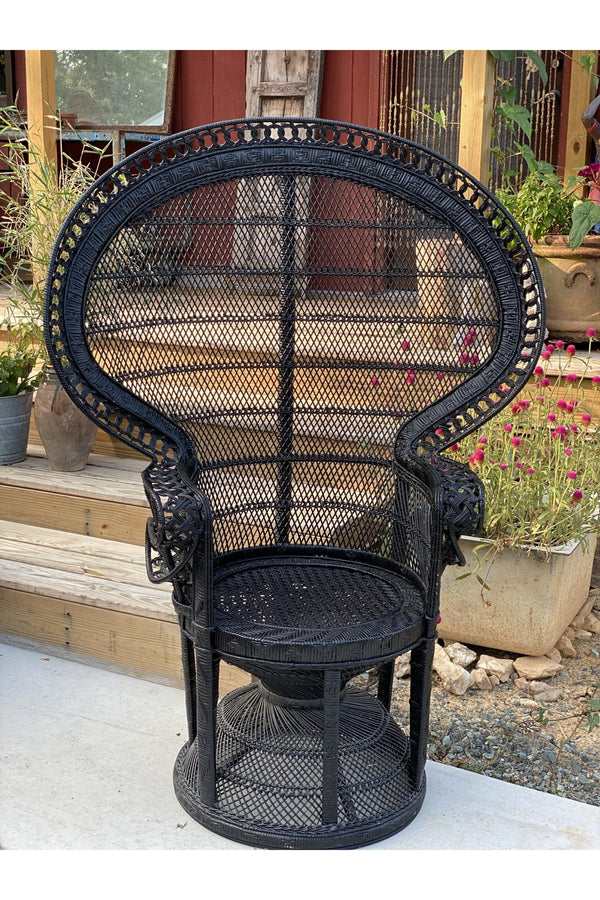 Johnny and June Peacock Chair Rental (each) - Little Boho Valley