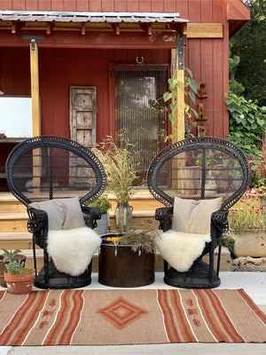 Johnny and June Peacock Chair Rental (each) - Little Boho Valley