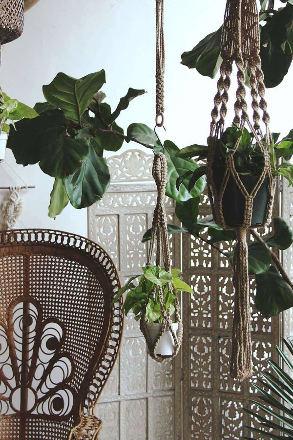 Soul of the Party - 24" Macrame Plant Hanger - Little Boho Valley