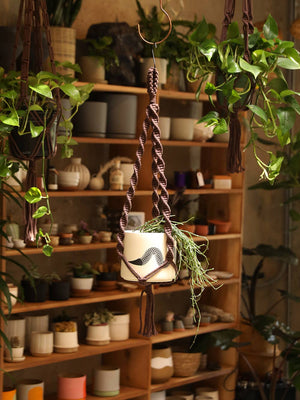 Soul of the Party - Double Helix Plant Hanger - Little Boho Valley
