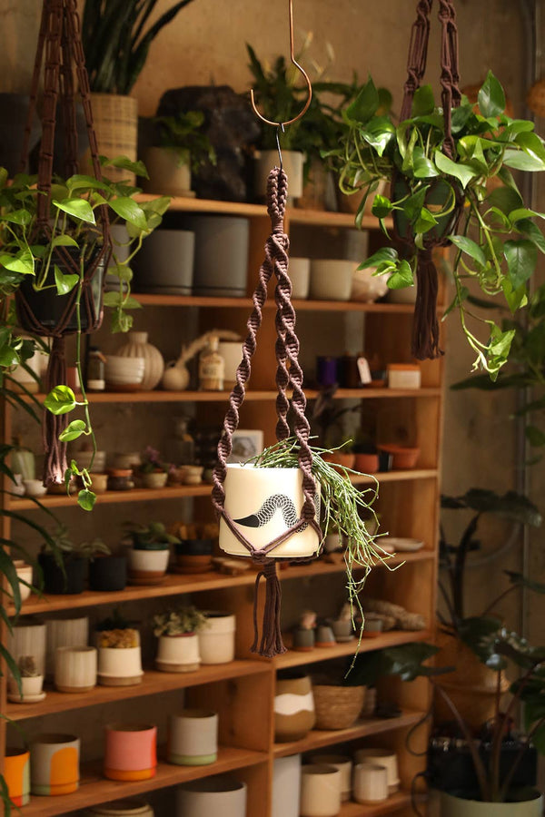 Soul of the Party - Double Helix Plant Hanger - Little Boho Valley