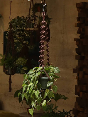 Soul of the Party - Wavy Plant Hanger - Little Boho Valley