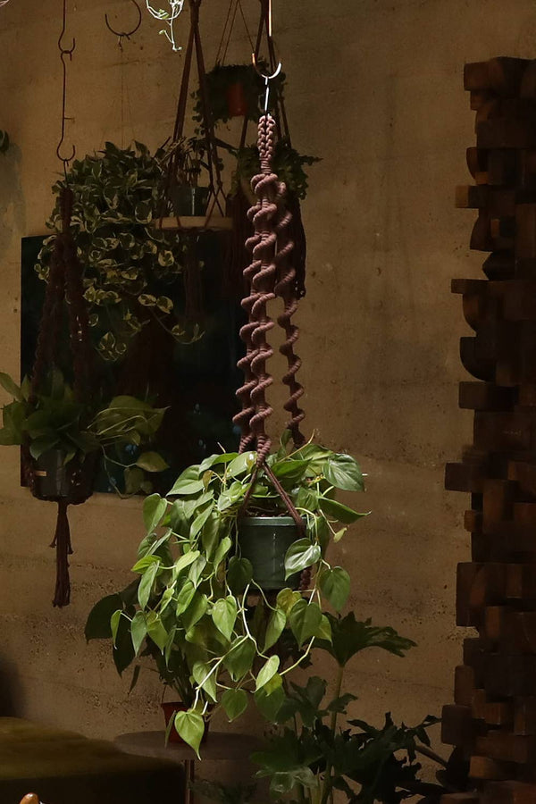 Soul of the Party - Wavy Plant Hanger - Little Boho Valley